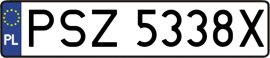 PSZ5338X
