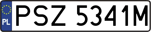 PSZ5341M