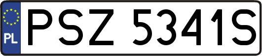 PSZ5341S