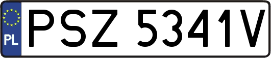 PSZ5341V