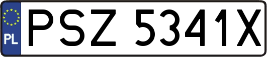 PSZ5341X