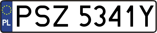 PSZ5341Y