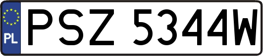 PSZ5344W