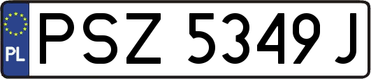 PSZ5349J