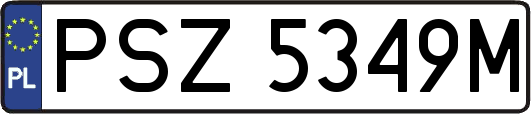 PSZ5349M