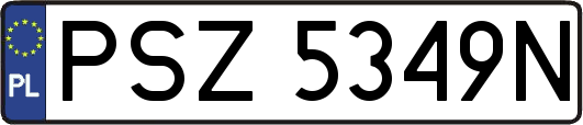 PSZ5349N