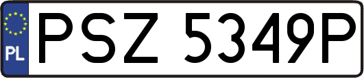 PSZ5349P