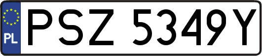 PSZ5349Y