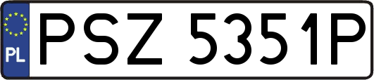 PSZ5351P