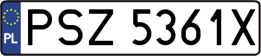 PSZ5361X