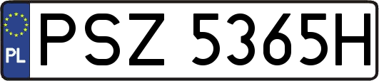 PSZ5365H
