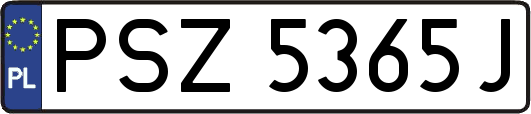 PSZ5365J