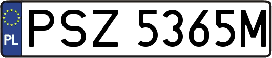 PSZ5365M