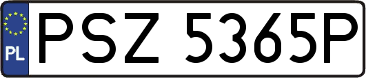 PSZ5365P