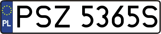 PSZ5365S