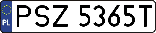 PSZ5365T