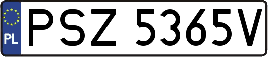 PSZ5365V