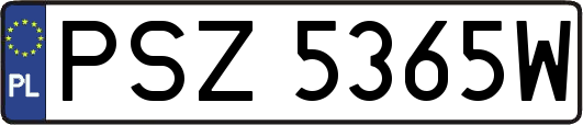 PSZ5365W