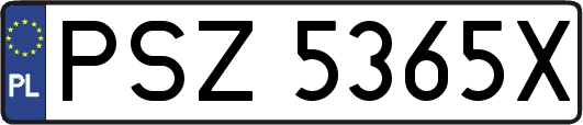 PSZ5365X