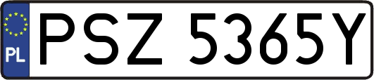 PSZ5365Y