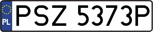 PSZ5373P