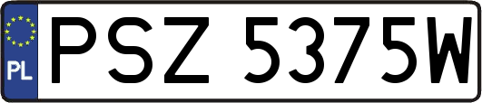PSZ5375W