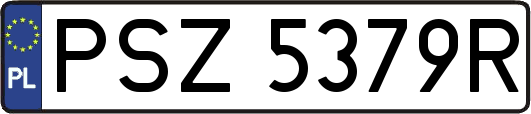 PSZ5379R