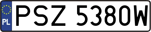 PSZ5380W