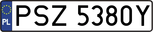 PSZ5380Y