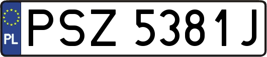 PSZ5381J