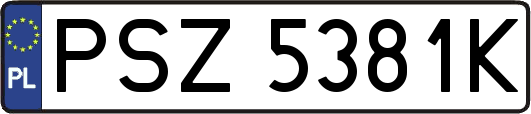 PSZ5381K