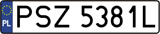 PSZ5381L