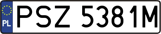 PSZ5381M