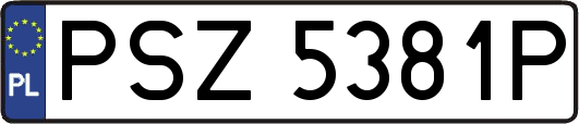 PSZ5381P