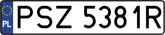 PSZ5381R