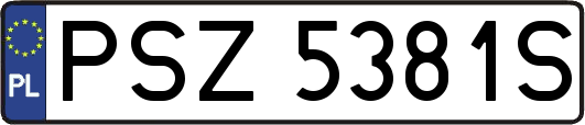 PSZ5381S