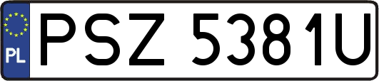 PSZ5381U