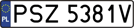 PSZ5381V