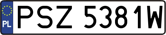 PSZ5381W