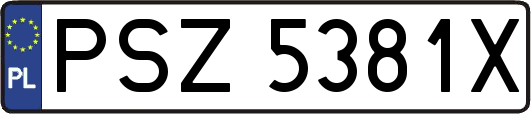 PSZ5381X