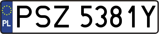 PSZ5381Y