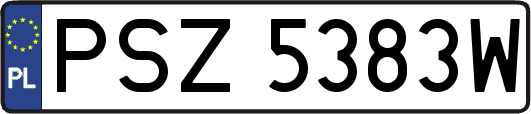 PSZ5383W