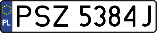 PSZ5384J
