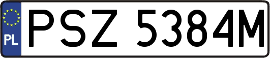 PSZ5384M