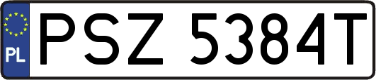 PSZ5384T