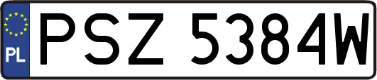 PSZ5384W