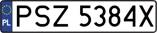 PSZ5384X