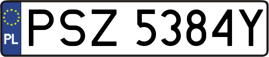 PSZ5384Y