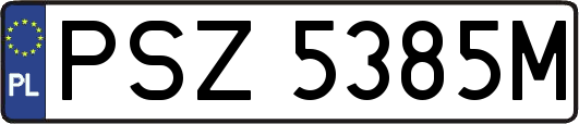 PSZ5385M