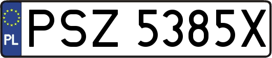 PSZ5385X